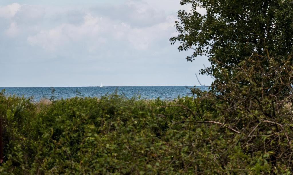 Duenenblick 03 Appartement Ahrenshoop
